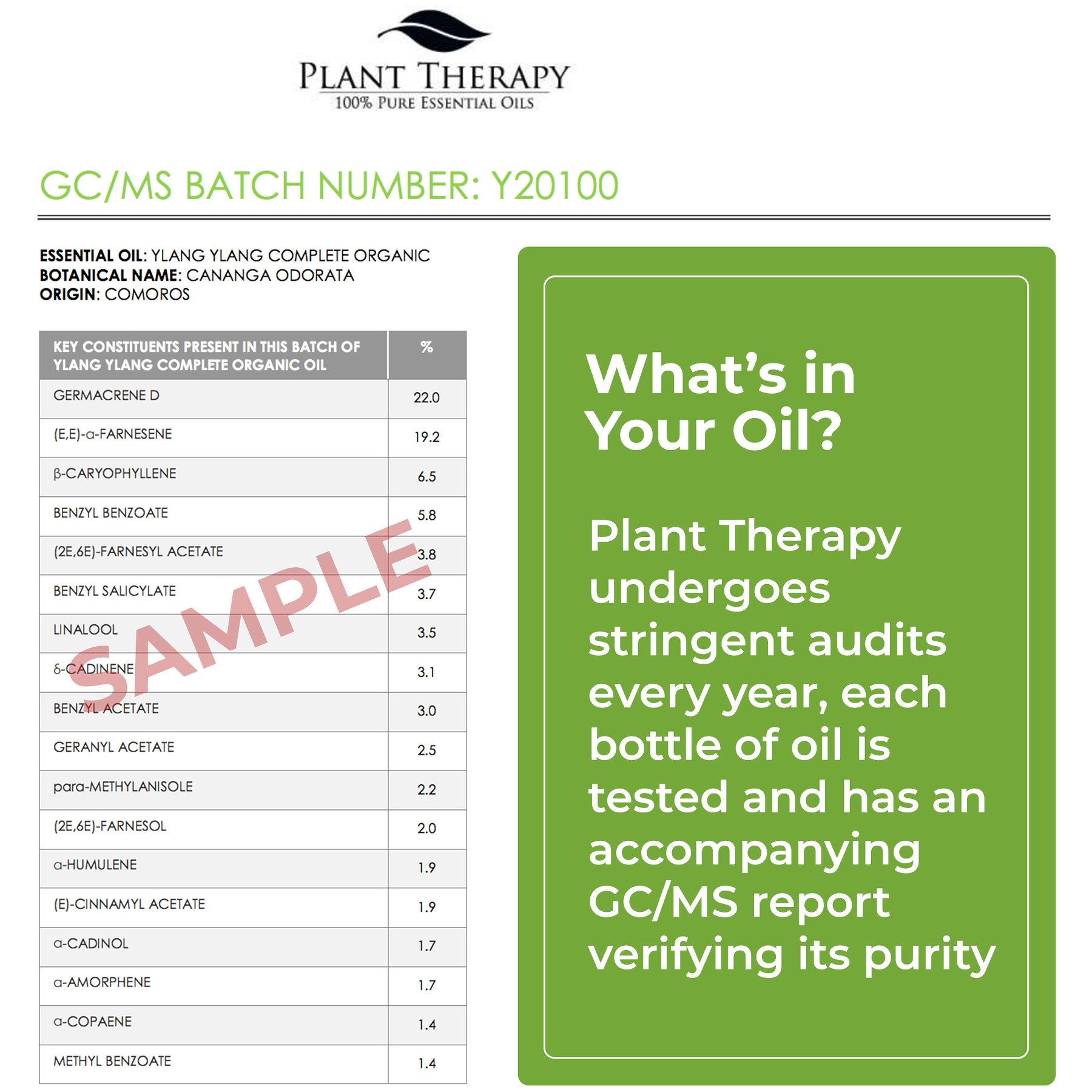 plant therapy clove bud essential 100 ml 33 oz 100 plant therapy clove bud essential 100 ml 33 oz 100